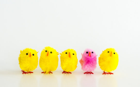 Diversity-4 yellow toy Easter chicks and 1 pink toy Easter chick in a row isolated on white