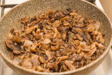 Mushrooms fry. Fried mushrooms in a frying pan. Mushrooms stew. Preparation of mushrooms.