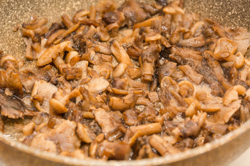 Mushrooms fry. Fried mushrooms in a frying pan. Mushrooms stew. Preparation of mushrooms.