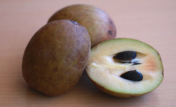 Manilkara zapota, commonly known as sapodilla or sawo.
