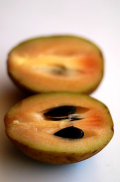 Manilkara zapota, commonly known as sapodilla or sawo.