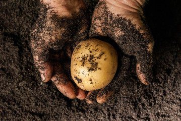 The hands of agriculture