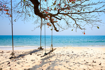 Swing hanging under the tree in the sun shine at Krating bay, Thailand.