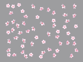Flying Pink Cherry Blossom, Realistic Vector Background. Beautiful Sakura Soft Romantic Illustration. Wedding Decoration, Flying Pink Cherry Blossom, Love Magic Design. Cool Showering Blooming Sakura