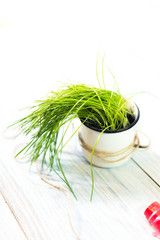 Mug with a plant on a wooden background
