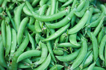 Close up raw Sugar Pea green fresh market background, Pisum sativum - obrazy, fototapety, plakaty