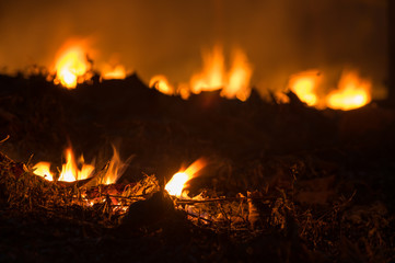 Forest fire, Wildfire.