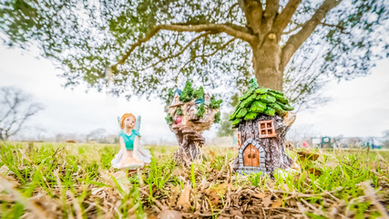 Fairy princess dreams outside of woodland houses.