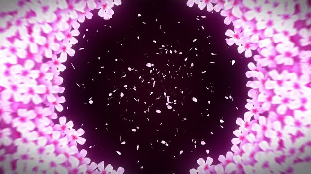 満開の桜 アニメーション 日本文化 ループ