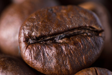 Closeup macro of one roasted brown or black coffee grain background