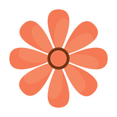flower topview icon image vector illustration design
