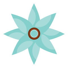 flower topview icon image vector illustration design 