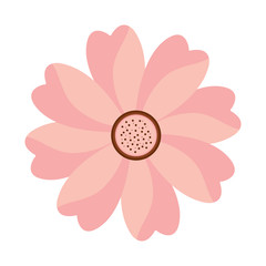 flower topview icon image vector illustration design 