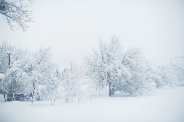 Fototapeta na wymiar Winter snowfall in the village. Snowy collapse