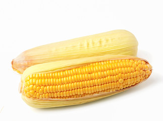 ripe corn on the cob isolated on white background.