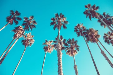 Deurstickers Palmboom Californië hoge palmen op het strand, blauwe hemelachtergrond