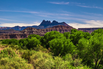 Obraz premium Sunset in Zion National Park