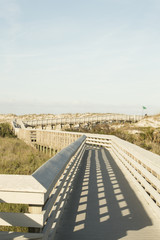 The pathway leading to the beach 