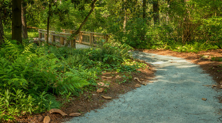 path to bridge in the woods of a park