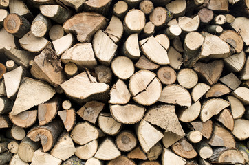 Bunch of freshly cut firewood