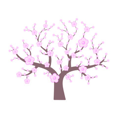 Vector tree. Pink japanese cherry. Spring flowering tree. Vector illustration