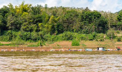 View of the landscape of the river Nam Khan, Luang Prabang, Laos. Copy space for text