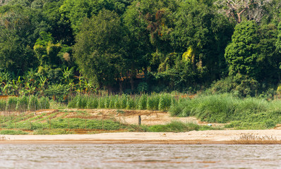View of the landscape of the river Nam Khan, Luang Prabang, Laos. Copy space for text