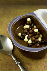 crème dessert au chocolat