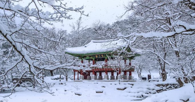 Falling snow at Baekyangsa temple in winter.