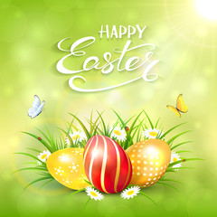 Green sunny background with Easter eggs in grass