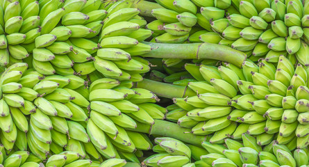 Green banana fruit