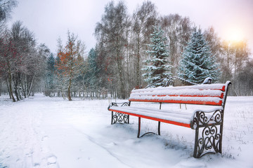 Park bench and trees covered by heavy snow