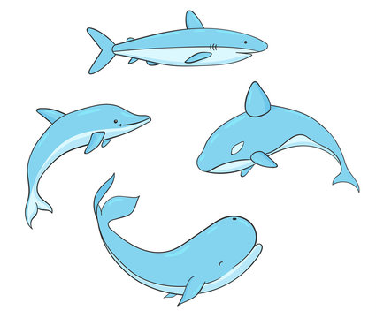 Set of vector underwater life with whale, shark, narwhal and dolphin. Sea creatures isolated on the white background.