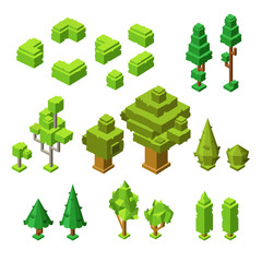 3D isometric trees vector illustration of plastic construction icons. Collection of different street plants and park hedge of oak, fir or maple trees set for landscape design creating