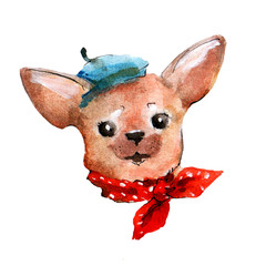 Chihuahua's head in beret and with a handkerchief on the neck watercolor illustration isolated on...