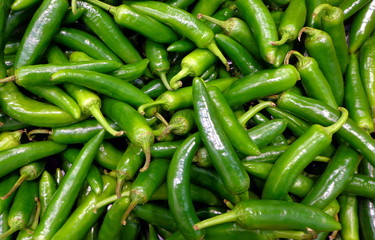 Jalapeno peppers fresh, background of hot green peppers