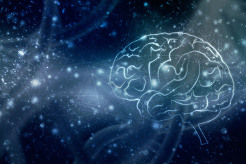Human brain 2d illustration
