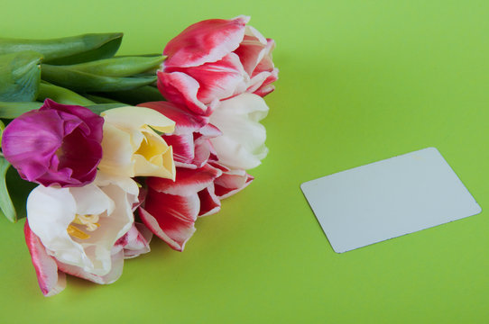 White blank credit or greeting card laying near tulip bouquet on green background