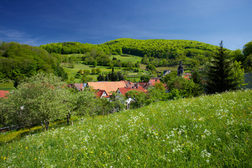 Schnellbach im Thüringer Wald, Bergdorf in Thüringen