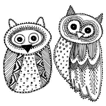Decorative Hand dravn Cute Owl Sketch Doodle black bird on white background. Adult Coloring. Vector