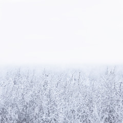 Winter Foggy Background