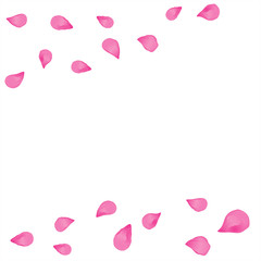 Pink flying petals isolated on White background. Sakura Roses petals. Vector
