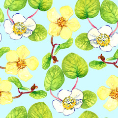 Male and female kiwifruits flowers, seamless pattern design, hand painted watercolor illustration, bright blue background