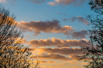 Fototapeta na wymiar Sonnenaufgang mit orangenen Wolken und Bäumen seitlich