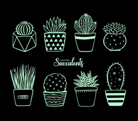 Vector hand drawn plants in pots on black background. Decorated isolated cactus and succulents vector set. Brush drawn. Doodle cute house interior plants. Vector illustration