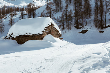 Snowy old cottage in the forest on winter season - white space.