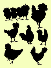 Roosters and Chicken silhouette. Good use for symbol, logo, web icon, mascot, sign, or any design you want.