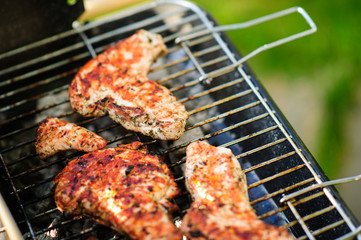 Barbecue grill with various kinds of meat