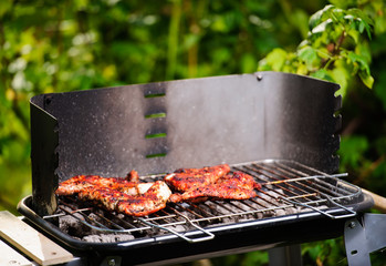 Barbecue grill with various kinds of meat