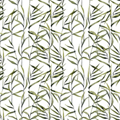 Watercolor reeds seamless pattern, hand painted on a white background